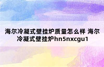 海尔冷凝式壁挂炉质量怎么样 海尔冷凝式壁挂炉hn5nxcgu1